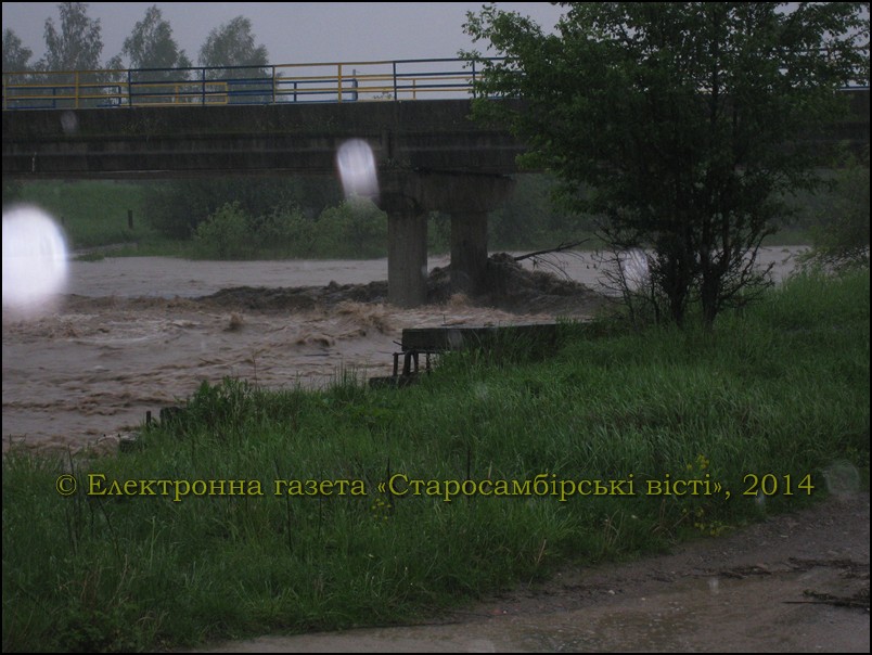 IMG_8906-800x600 Фотографії повені на річці Дністер в травні 2014 року