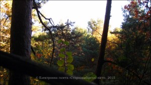 IMG_0439-800x600-300x169 Осінь в Старому Самборі, урочище Ковальова яма. Фото, відео