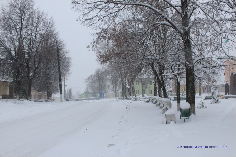 IMG_3746-800x600 В Старому Самборі випав перший сніг