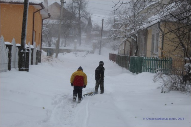 IMG_3748-800x600-640x427 В Старому Самборі випав перший сніг