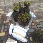 IMG-c15be83fd958864e52938f857f146ee9-V-800x600-150x150 Мікроавтобус зруйнував клумбу на пл.Ринок у Старому Самборі (відео)