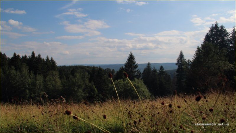 IMG_6819-800x600-800x450 Трекінговий маршрут гора Острогірка - урочище Луки (відео)