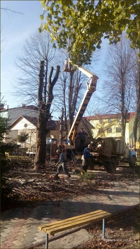 0004-453x802 У Старому Самборі комунальники розпочали планові роботи з кронування дерев