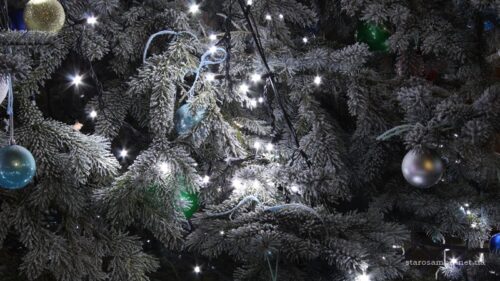 IMG_5203-800x600-Starosambirs-ki-visti-500x281 Зимова ніч у Старому Самборі (фото)