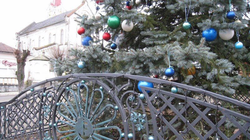 IMG_8660-800x600-1-800x449 У центрі Старого Самбора засвітили різдвяну ялинку