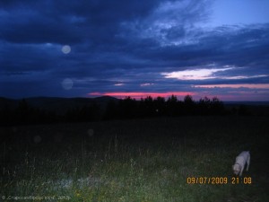 IMG_29635-300x225 Орби в місцях масових поховань на г.Острогірка