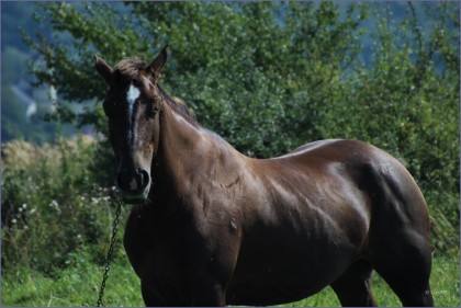 IMG_1190-1024x768-420x281 Журнал Excursant вересень 2016: прощавай літо (фото)