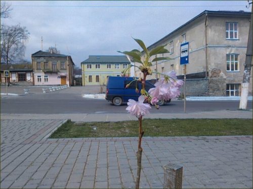 IMG_20190413_113024-800x600-500x375 У Старосамбірській міській раді підвели підсумки роботи у 2019 році та висловила подяку людям, які забезпечують діяльність громади